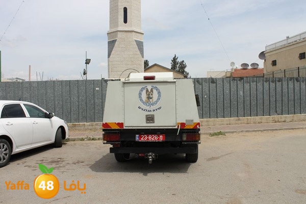 ludpolicedogs411 (5).jpg